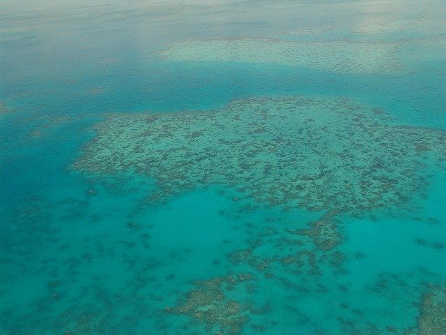 办塔州188类商业移民州担保前必读：最新条件拆解与避坑指南