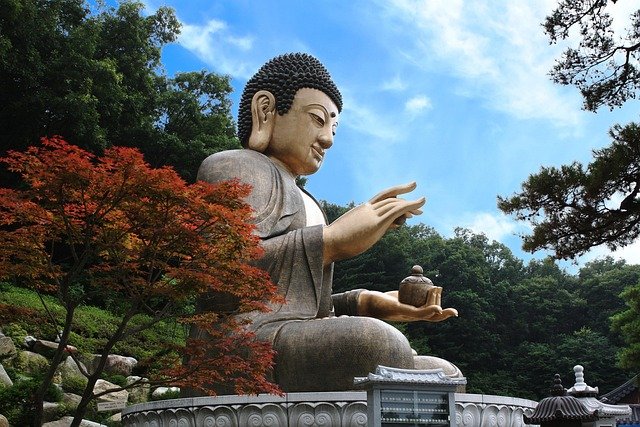 韩国雇主担保专业人才E-7到永住：税务与成本的4个关键节点拆解