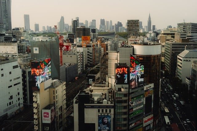 日本经营管理签证续签与永住条件新旧政策对比：避坑要点解析