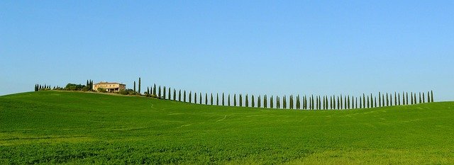 意大利投资居留与非盈利居留的学历门槛：哪类职场人士更适配？