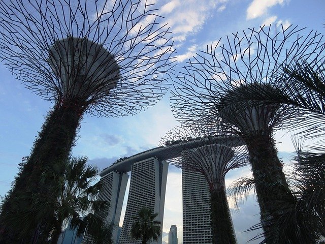 新加坡ONE Pass vs Tech.Pass省钱攻略：哪类顶尖人才申请更划算？