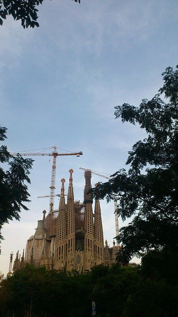 西班牙工作签证转社会扎根实操手册：转永居与入籍路径的合规要点及避坑策略