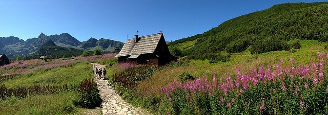 波兰家庭团聚申请4大审批节点：收入与住房材料的核心关卡拆解