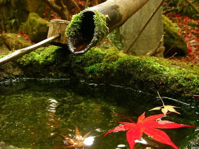 日本留学→就职→永住全流程拒签风险规避指南：从学签到永住权的关键雷区拆解