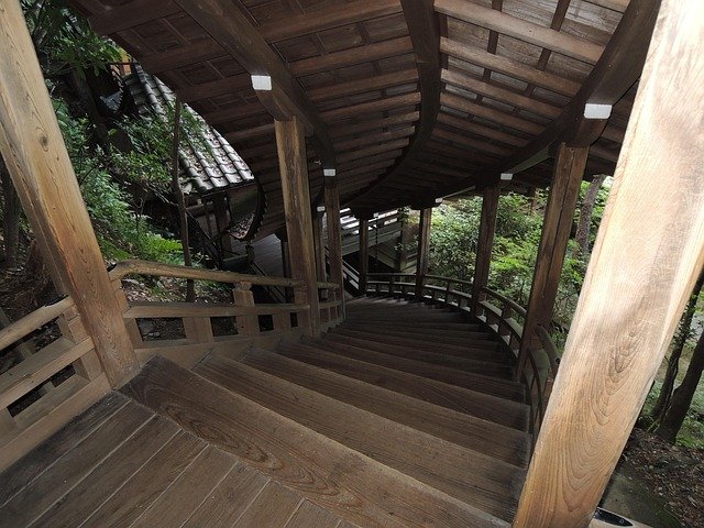 日本高度人才签证及永住申请拒签原因解析与防范：流程中的核心雷区问答