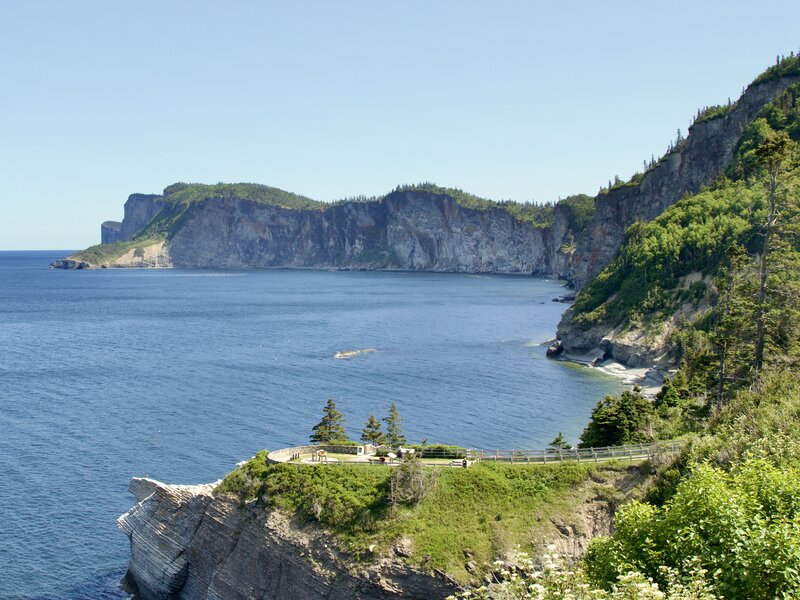 加拿大雇主担保:LMIA路径与豁免路径,该怎么选?