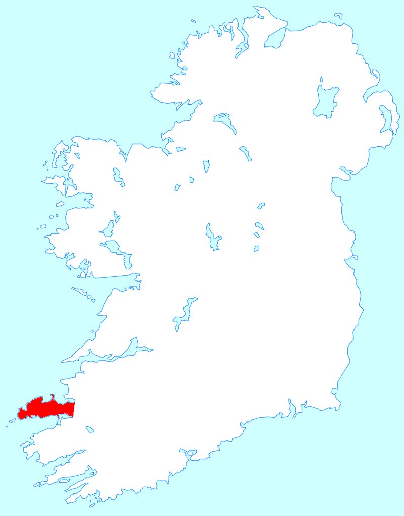 爱尔兰IIP投资移民选捐赠还是投资?流程步骤细节对比帮你决策