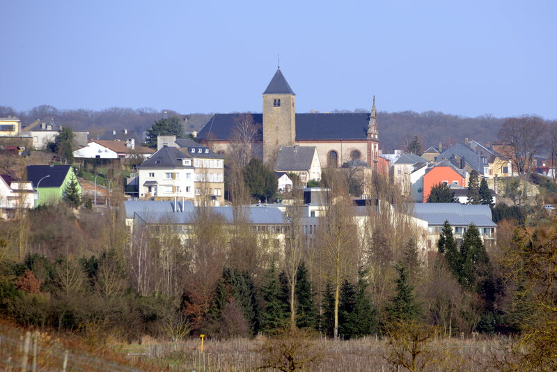 卢森堡高技术雇主担保移民是否适合预算敏感型申请人？