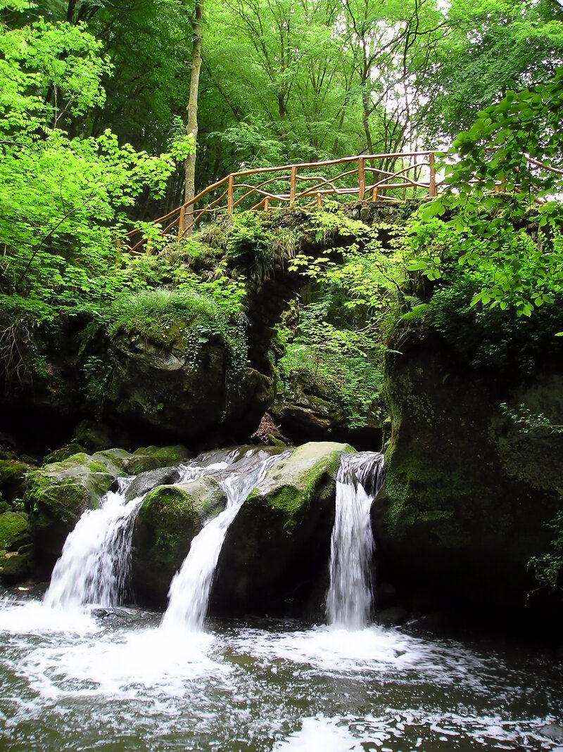 卢森堡先工签后家庭团聚：住房避坑指南