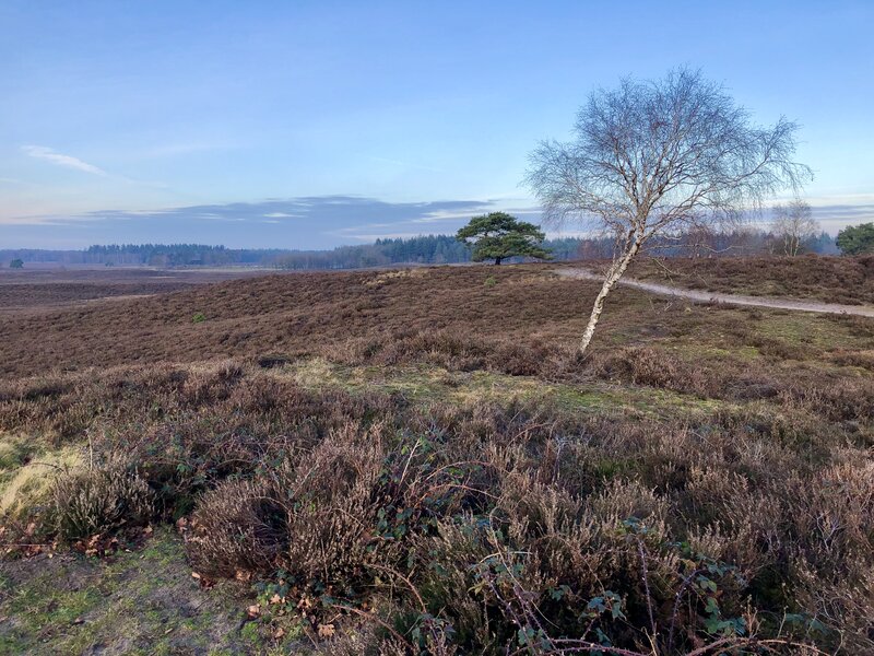 荷兰Start-up创业签证居住与续签须知:从获批到身份延续的实操要点