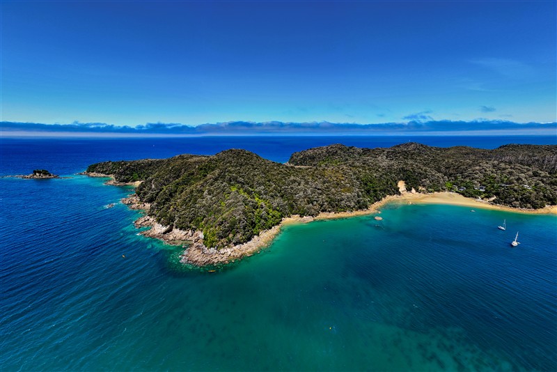 新西兰留学选专业好移民？5个常见问题帮你选对方向