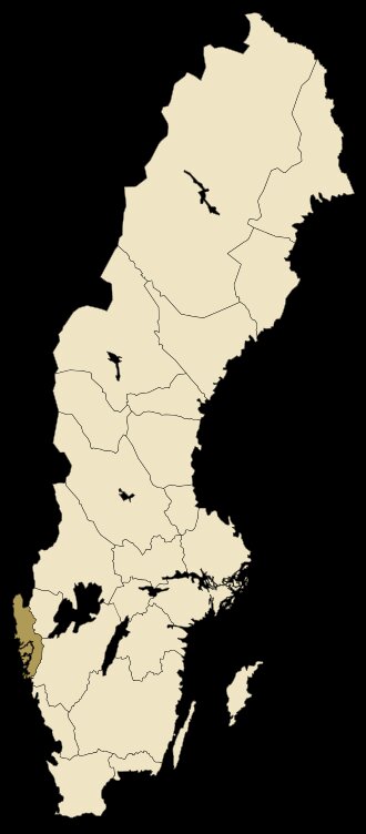 瑞典斯德哥尔摩工作签证与永居全攻略：技术移民必看申请条件、流程及费用