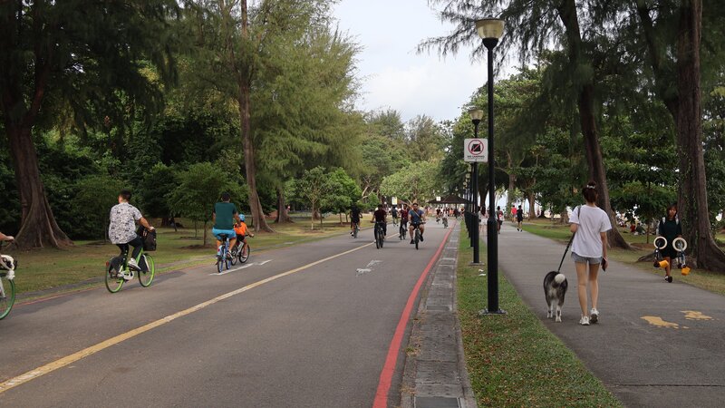 新加坡ONE Pass与Tech.Pass申请条件深度解读:关键差异与达标指南